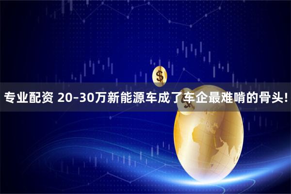 专业配资 20–30万新能源车成了车企最难啃的骨头!
